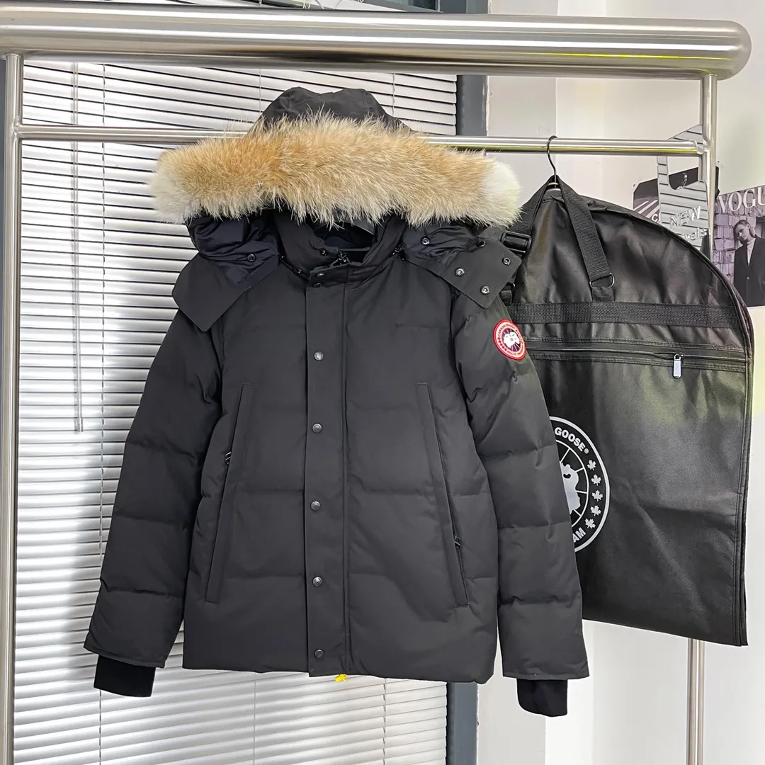 P720 29 models - black